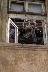 Фото заброшенного окна с паутиной и сухими растениями. Атмосферный снимок, напоминающий эскиз татуировки.