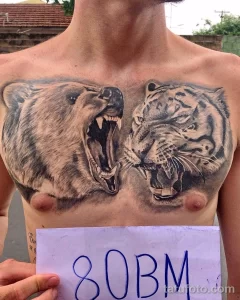 Фото тату: реалистичная татуировка на груди с изображением схватки медведя и тигра, выполненная в черно-серых тонах.