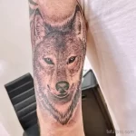 Фото пример рисунка тату с волком 16.12.2021 №0049 - Wolf tattoo - tatufoto.com