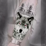 Фото пример рисунка тату с волком 16.12.2021 №0122 - Wolf tattoo - tatufoto.com