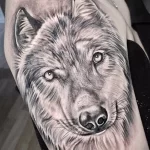 Фото пример рисунка тату с волком 16.12.2021 №0174 - Wolf tattoo - tatufoto.com