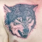 Фото пример рисунка тату с волком 16.12.2021 №0201 - Wolf tattoo - tatufoto.com