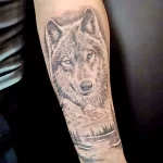 Фото пример рисунка тату с волком 16.12.2021 №0264 - Wolf tattoo - tatufoto.com