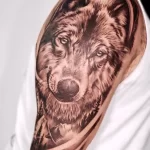 Фото пример рисунка тату с волком 16.12.2021 №0287 - Wolf tattoo - tatufoto.com