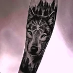 Фото пример рисунка тату с волком 16.12.2021 №0356 - Wolf tattoo - tatufoto.com