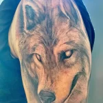 Фото пример рисунка тату с волком 16.12.2021 №0397 - Wolf tattoo - tatufoto.com