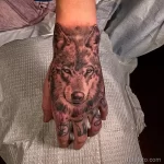 Фото пример рисунка тату с волком 16.12.2021 №0438 - Wolf tattoo - tatufoto.com