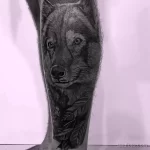 Фото пример рисунка тату с волком 16.12.2021 №0477 - Wolf tattoo - tatufoto.com