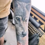 Фото пример рисунка тату с волком 16.12.2021 №0541 - Wolf tattoo - tatufoto.com