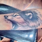Фото пример рисунка тату с волком 16.12.2021 №0578 - Wolf tattoo - tatufoto.com