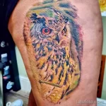 Фото пример рисунка тату сова 13,12,2021 - №005 - Owl Tattoo - tatufoto.com