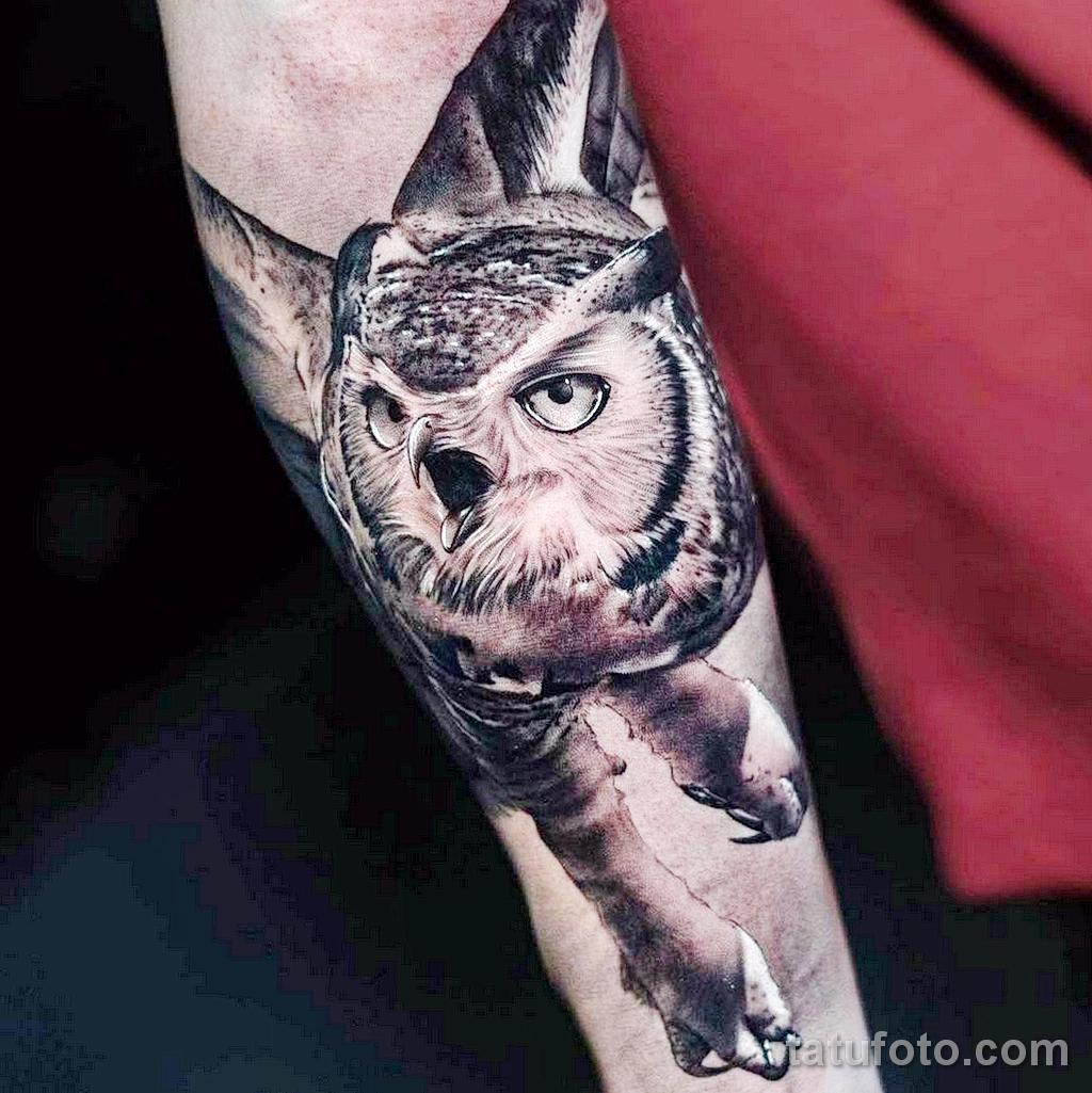 Фото пример рисунка тату сова 13,12,2021 - №006 - Owl Tattoo - tatufoto.com