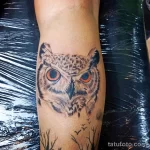 Фото пример рисунка тату сова 13,12,2021 - №024 - Owl Tattoo - tatufoto.com