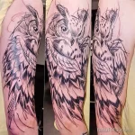Фото пример рисунка тату сова 13,12,2021 - №032 - Owl Tattoo - tatufoto.com