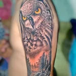 Фото пример рисунка тату сова 13,12,2021 - №033 - Owl Tattoo - tatufoto.com