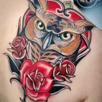 Фото пример рисунка тату сова 13,12,2021 - №055 - Owl Tattoo - tatufoto.com