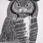 Фото пример рисунка тату сова 13,12,2021 - №065 - Owl Tattoo - tatufoto.com