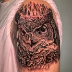 Фото пример рисунка тату сова 13,12,2021 - №092 - Owl Tattoo - tatufoto.com
