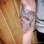 Фото пример рисунка тату сова 13,12,2021 - №093 - Owl Tattoo - tatufoto.com
