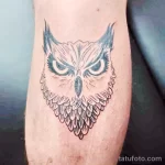 Фото пример рисунка тату сова 13,12,2021 - №095 - Owl Tattoo - tatufoto.com