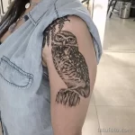 Фото пример рисунка тату сова 13,12,2021 - №105 - Owl Tattoo - tatufoto.com