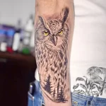 Фото пример рисунка тату сова 13,12,2021 - №115 - Owl Tattoo - tatufoto.com