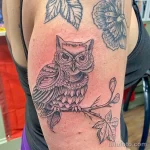 Фото пример рисунка тату сова 13,12,2021 - №116 - Owl Tattoo - tatufoto.com