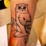 Фото пример рисунка тату сова 13,12,2021 - №117 - Owl Tattoo - tatufoto.com