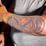 Фото пример рисунка тату сова 13,12,2021 - №126 - Owl Tattoo - tatufoto.com