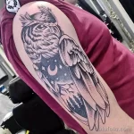 Фото пример рисунка тату сова 13,12,2021 - №127 - Owl Tattoo - tatufoto.com