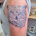 Фото пример рисунка тату сова 13,12,2021 - №140 - Owl Tattoo - tatufoto.com
