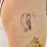 Фото пример рисунка тату сова 13,12,2021 - №150 - Owl Tattoo - tatufoto.com