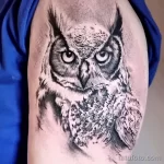 Фото пример рисунка тату сова 13,12,2021 - №161 - Owl Tattoo - tatufoto.com