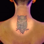 Фото пример рисунка тату сова 13,12,2021 - №172 - Owl Tattoo - tatufoto.com
