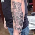 Фото пример рисунка тату сова 13,12,2021 - №179 - Owl Tattoo - tatufoto.com