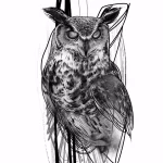 Фото пример рисунка тату сова 13,12,2021 - №180 - Owl Tattoo - tatufoto.com