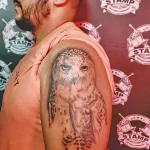 Фото татуировки белой совы на плече. Черно-белый рисунок татуировки с детализированным оперением и выразительными глазами.