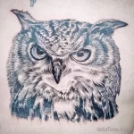Фото пример рисунка тату сова 13,12,2021 - №213 - Owl Tattoo - tatufoto.com