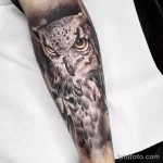Фото пример рисунка тату сова 13,12,2021 - №214 - Owl Tattoo - tatufoto.com