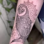 Фото пример рисунка тату сова 13,12,2021 - №215 - Owl Tattoo - tatufoto.com