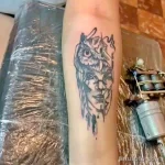 Фото пример рисунка тату сова 13,12,2021 - №218 - Owl Tattoo - tatufoto.com