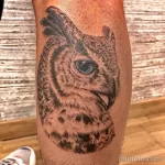 Фото пример рисунка тату сова 13,12,2021 - №234 - Owl Tattoo - tatufoto.com