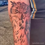 Фото пример рисунка тату сова 13,12,2021 - №243 - Owl Tattoo - tatufoto.com