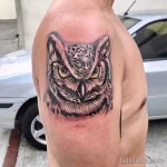 Фото пример рисунка тату сова 13,12,2021 - №257 - Owl Tattoo - tatufoto.com