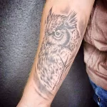 Фото пример рисунка тату сова 13,12,2021 - №265 - Owl Tattoo - tatufoto.com