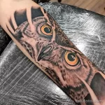 Фото пример рисунка тату сова 13,12,2021 - №276 - Owl Tattoo - tatufoto.com