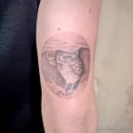 Фото пример рисунка тату сова 13,12,2021 - №287 - Owl Tattoo - tatufoto.com