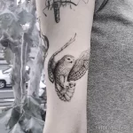 Фото пример рисунка тату сова 13,12,2021 - №289 - Owl Tattoo - tatufoto.com