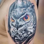 Фото пример рисунка тату сова 13,12,2021 - №294 - Owl Tattoo - tatufoto.com