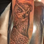 Фото пример рисунка тату сова 13,12,2021 - №308 - Owl Tattoo - tatufoto.com